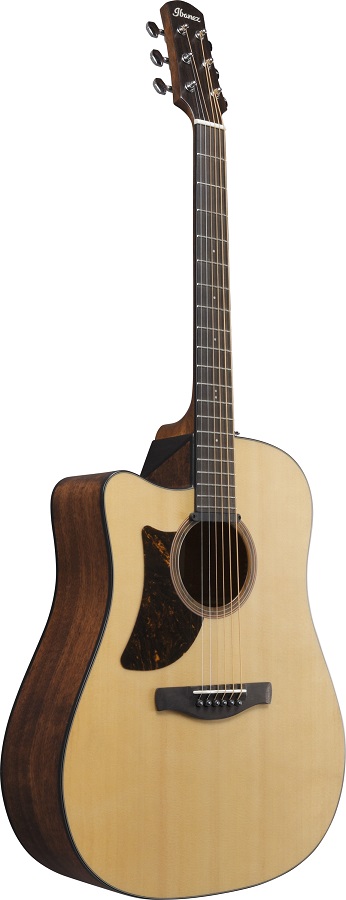 Ibanez AAD170LCE-LGS
