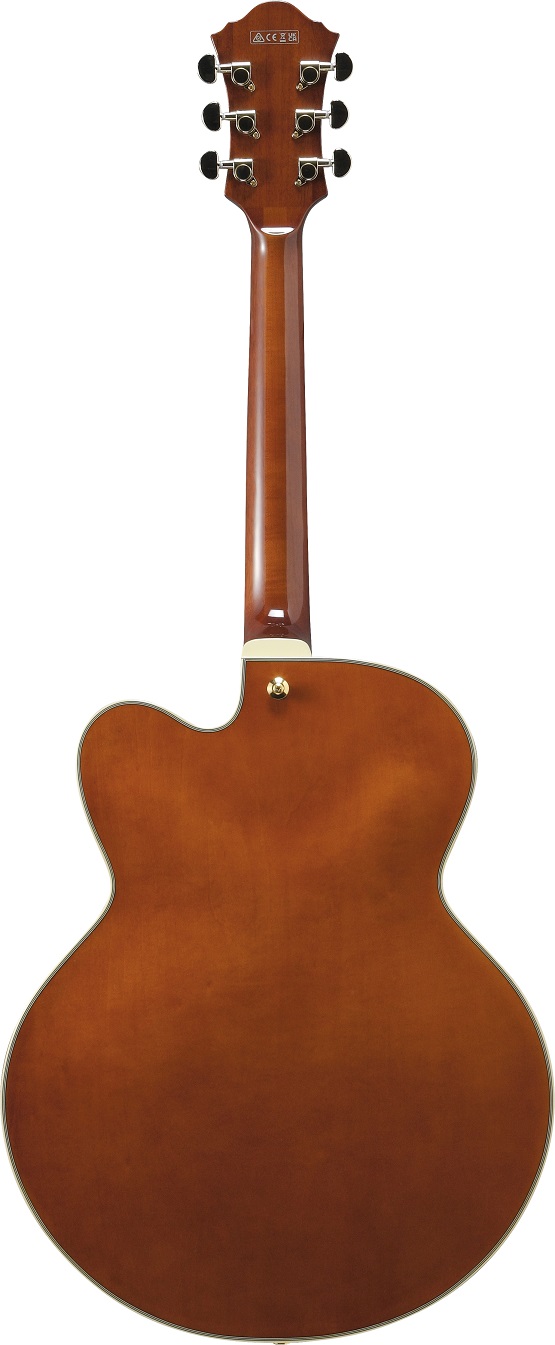 Ibanez AF95-DA
