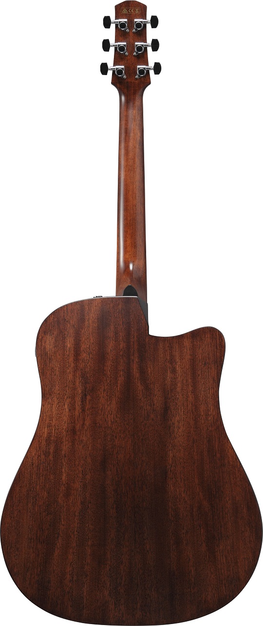 Ibanez AAD170LCE-LGS