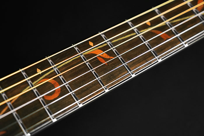 Ibanez AE275BT-LGS