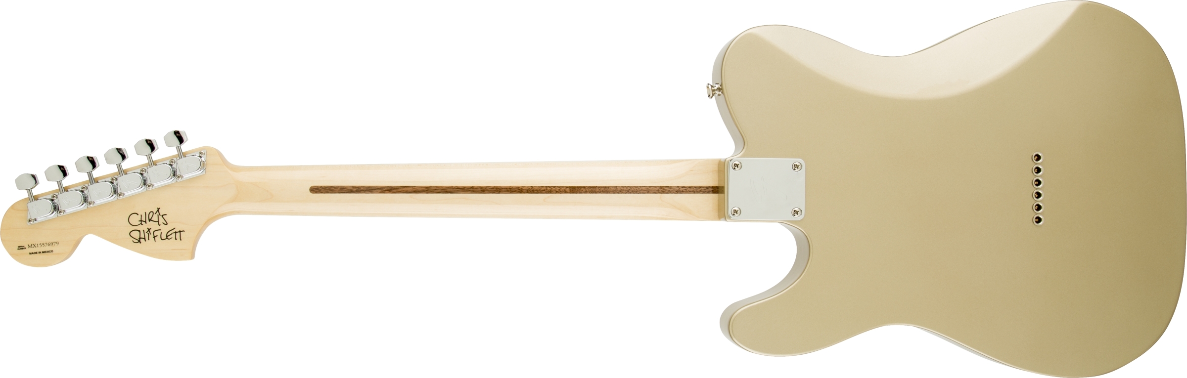 Fender Chris Shiflett Tele Deluxe RW SG