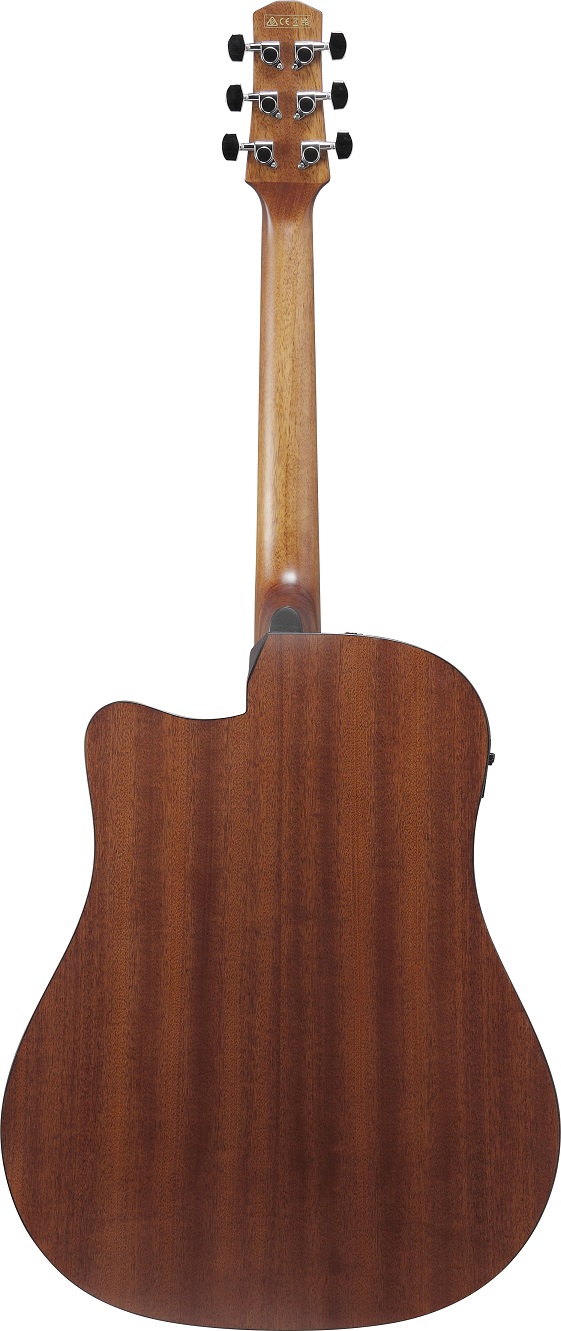 Ibanez AAD50CE-LBS