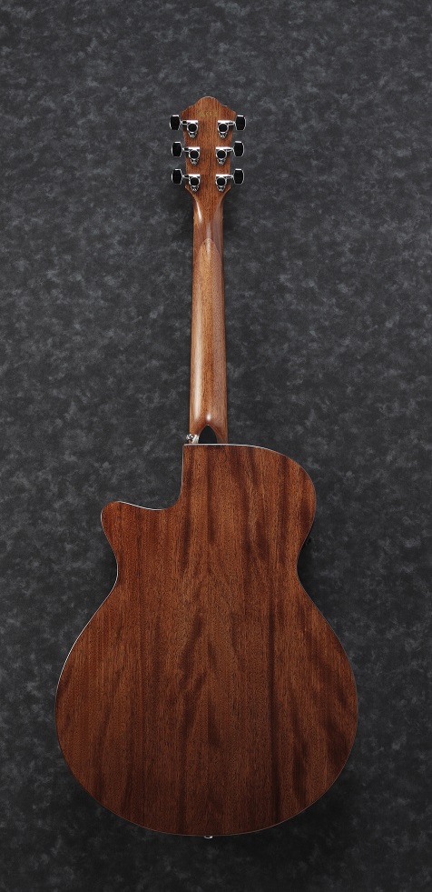 Ibanez AEG200-LGS
