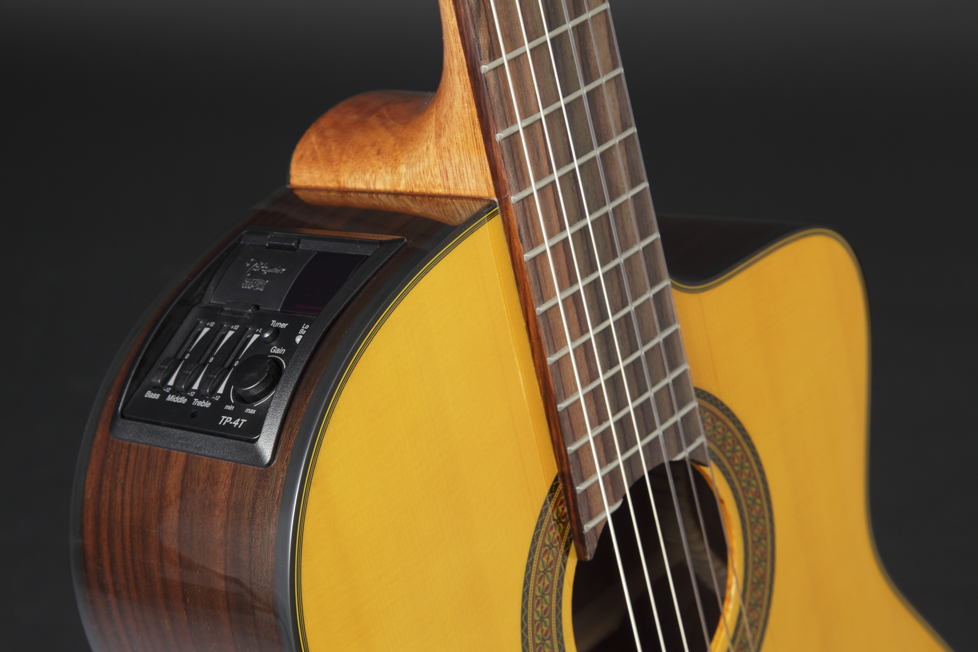 Takamine GC5CE-Nat