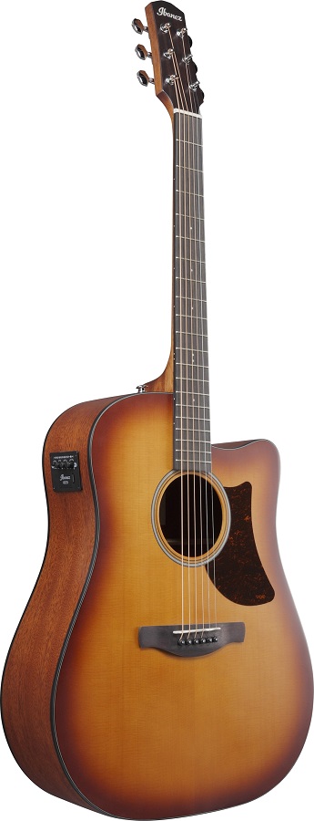 Ibanez AAD50CE-LBS