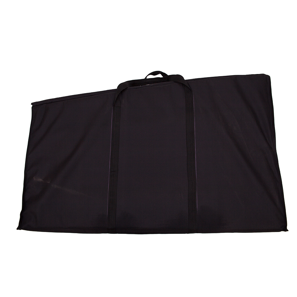 LiteConsole GO! Gig Bag