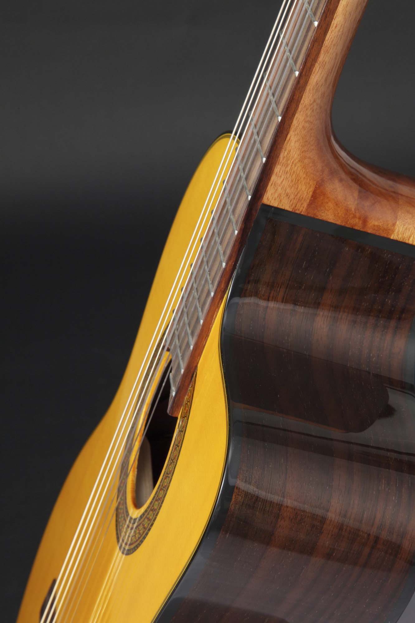 Takamine GC5CE-Nat