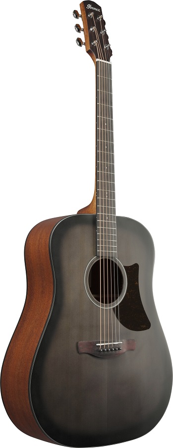 Ibanez AAD50-TCB