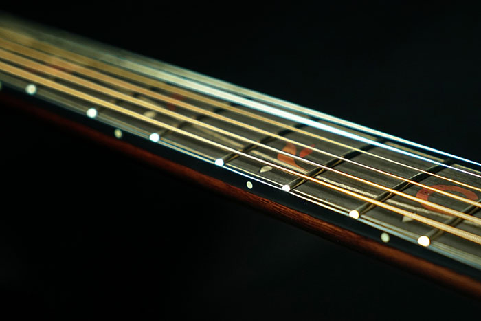 Ibanez AE295-LGS