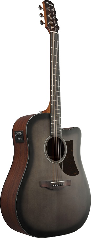 Ibanez AAD50CE-TCB