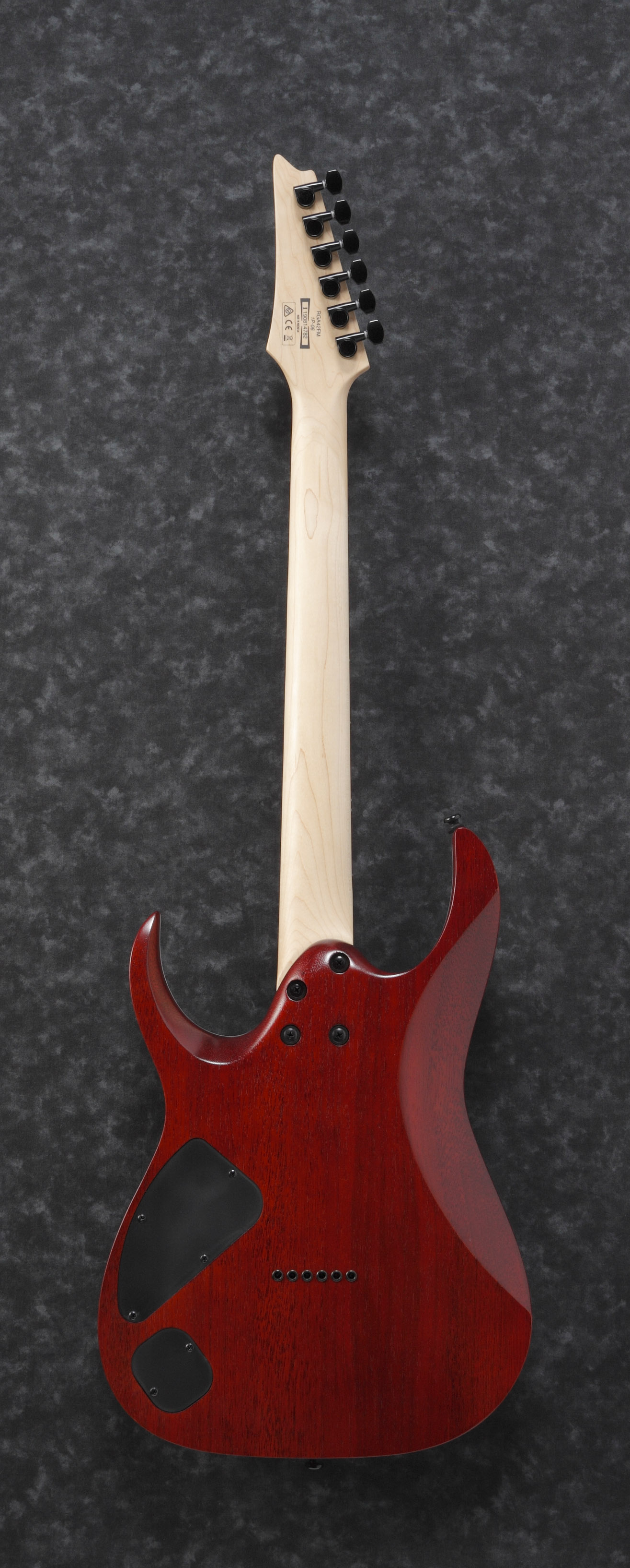 Ibanez RGA42FM-TGF