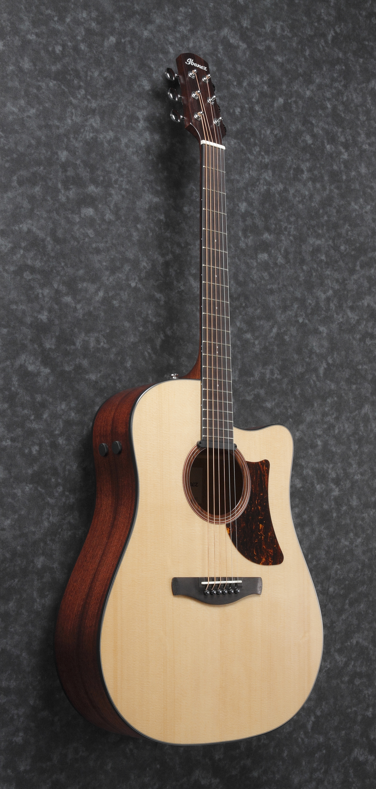 Ibanez AAD170CE-LGS