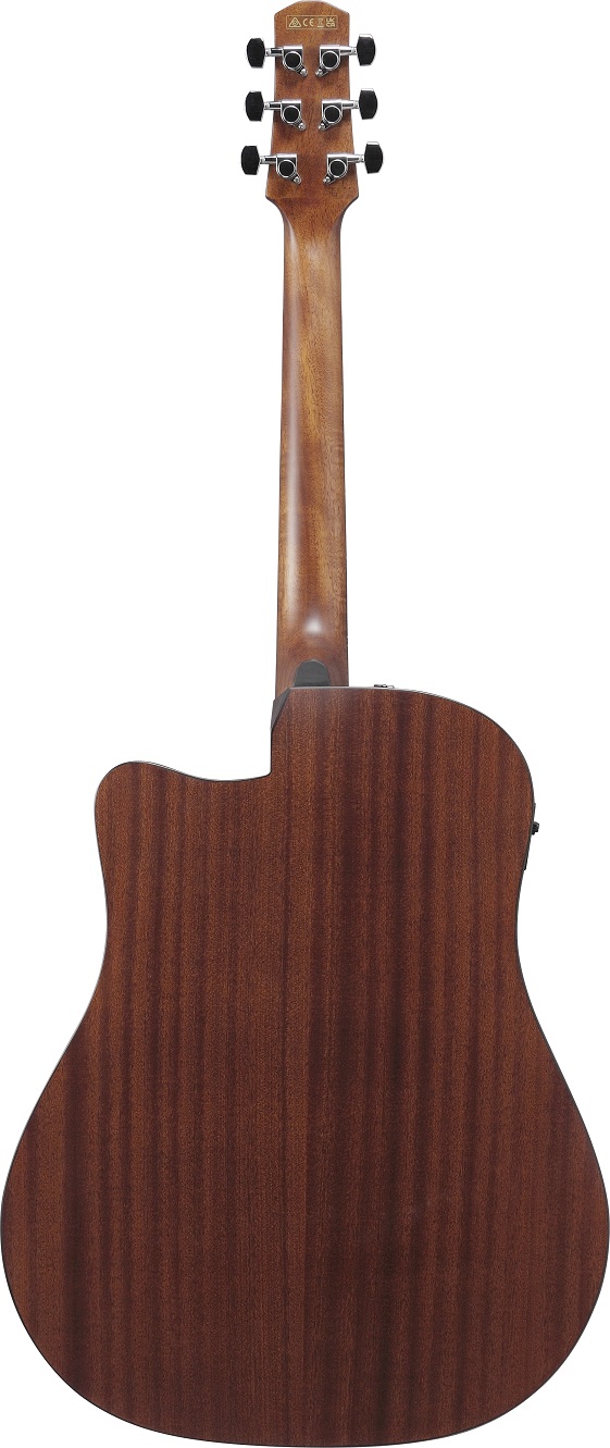 Ibanez AAD50CE-TCB