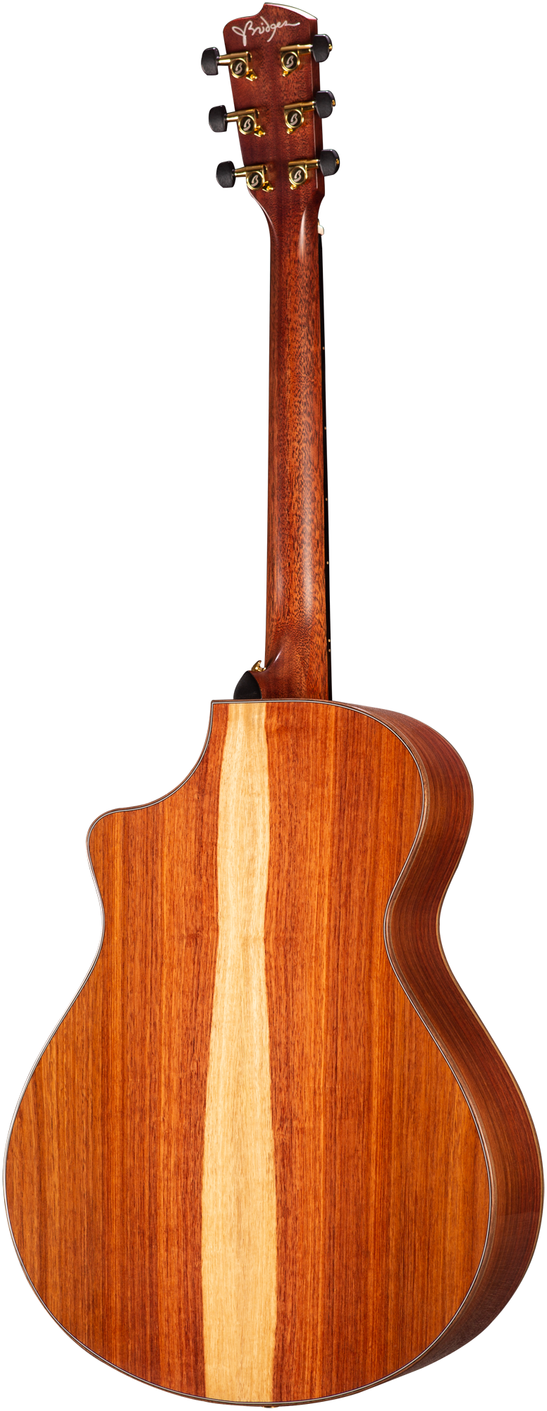 Breedlove Organic Amazon Jeff Bridges Concert Sunburst