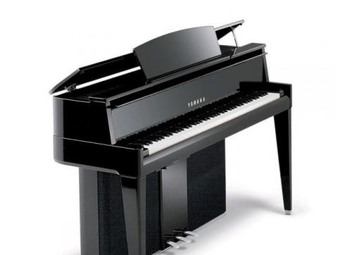 Yamaha N-2 Avant Grand