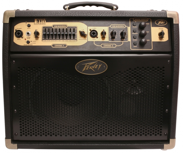 Peavey Ecoustic E110 Akustikcombo