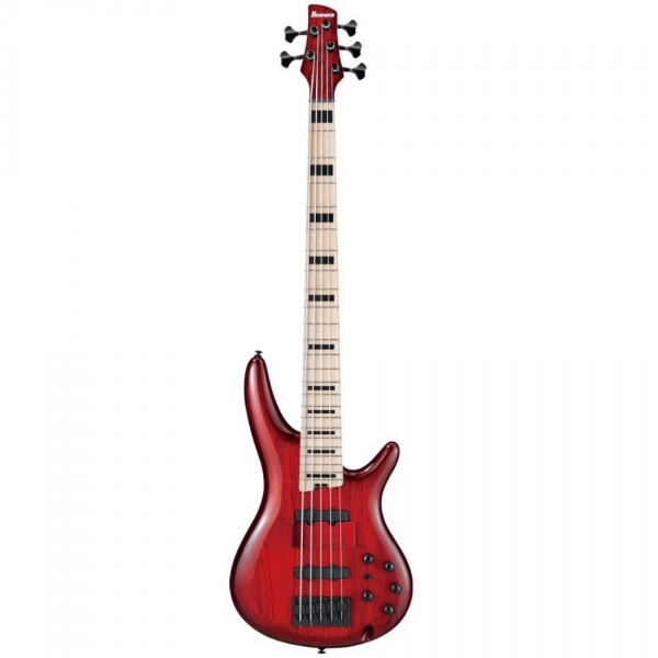 Ibanez ANB205-TWB