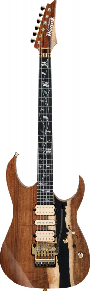 Ibanez JCRG2003-NT