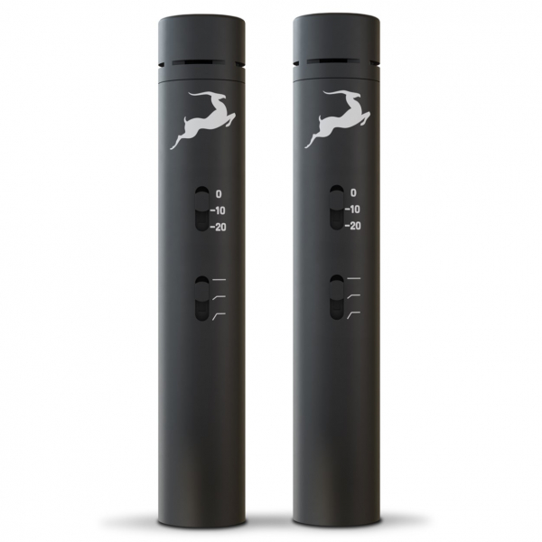 Antelope Edge Note Bundle