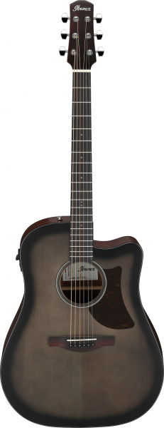 Ibanez AAD50CE-TCB