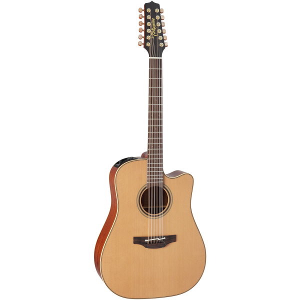 Takamine P3DC-12
