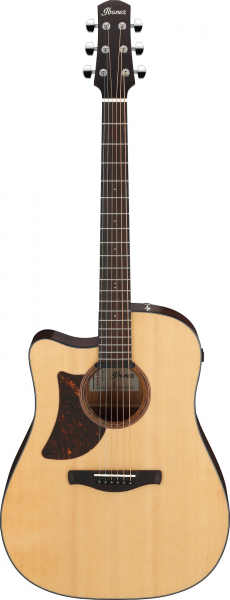 Ibanez AAD170LCE-LGS