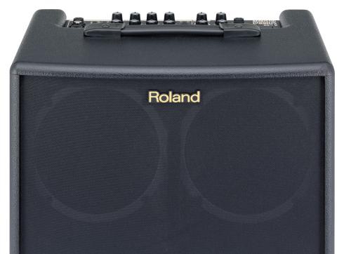 ROLAND AC60