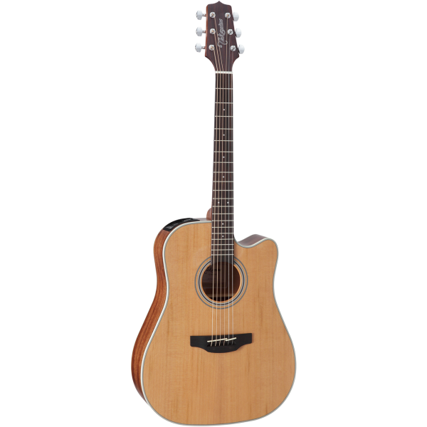 Takamine GD20CENS2