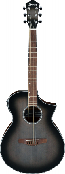 Ibanez AEWC11-TCB