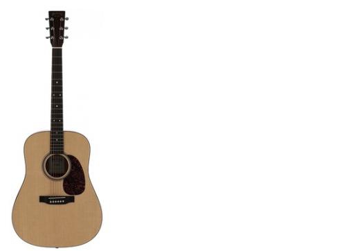 Martin Guitars D-16GT