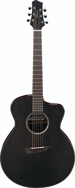 Ibanez JGM5-BSN