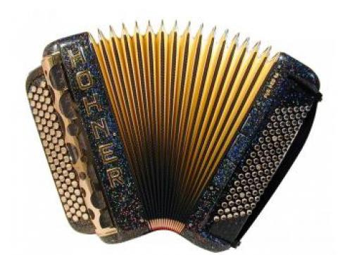 Hohner Fun Pro 96 Knopf-C-Griff unicolor