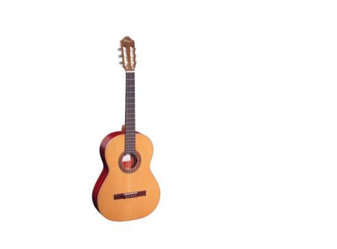 Ortega R240