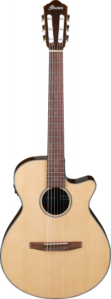 Ibanez AEG50N-NT