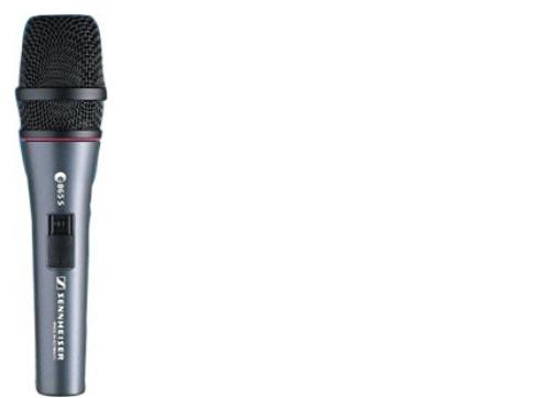 Sennheiser e 865 S